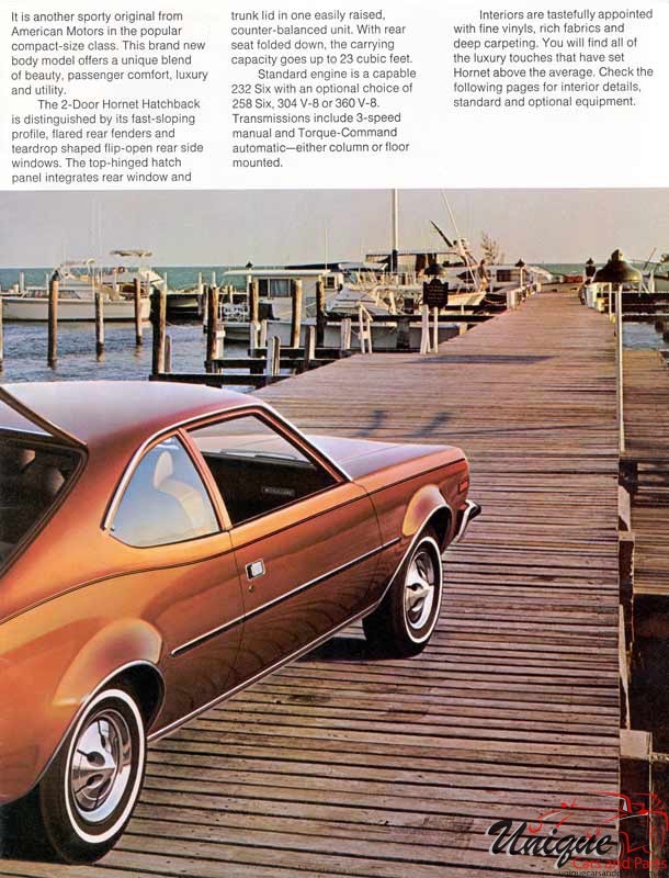 1973 American Motors Brochure Page 11